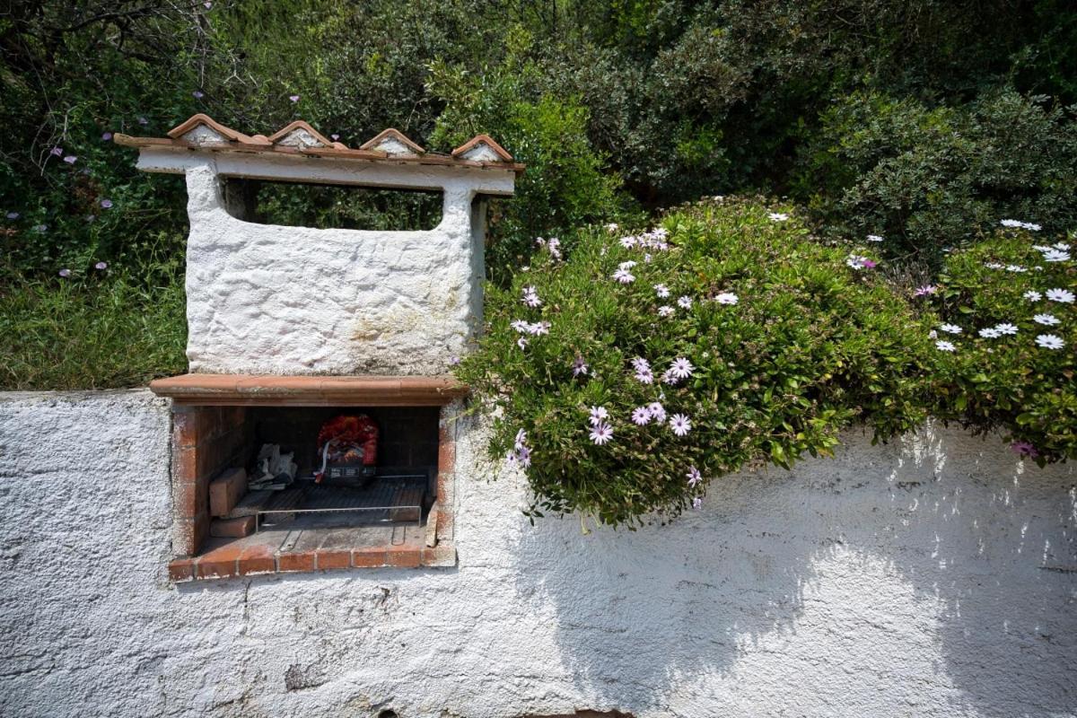 Alloggi Del Mirto A Morcone - Goelba Capoliveri  Exterior foto